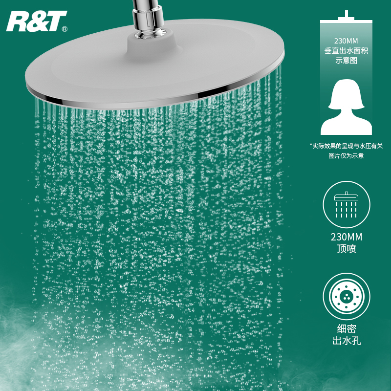 瑞尔特(R&T) RT51780简易花洒套装家用沐浴淋雨喷头全铜四功能置物明装淋浴器