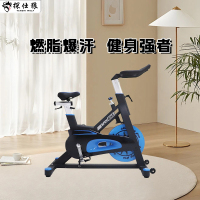 探仕狼 家用动感单车健身车家用脚踏车室内运动自行车锻炼健身器材 P0264