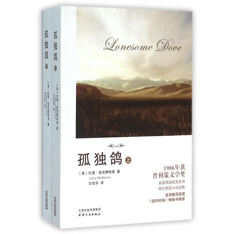 音像孤独鸽(上下)拉里·麦克默特里