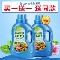 德沃多植物营养液通用型花肥料盆栽土培绿萝多肉花卉液体有机肥