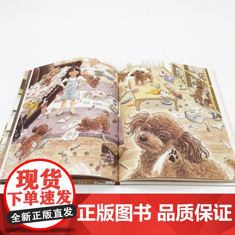 今天我当家! 给孩子当家做主人的机会(精装绘本)高清大图