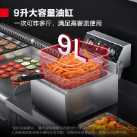 德玛仕(DEMASHI) 电炸炉商用 单双缸炸鸡炸薯条机 炸串机电炸锅电炸炉大容量油榨锅 [定时款单缸]DM