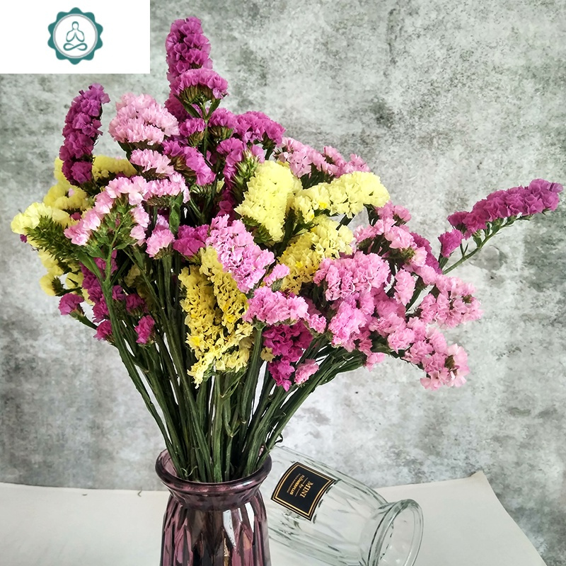 满天星家居摆设大束鲜花水养 封后 红黄粉 水晶草[3份一起拍]发三束