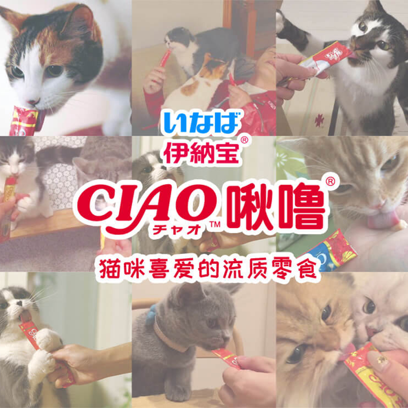 伊纳宝啾噜猫零食金枪鱼 14g×4条×6包