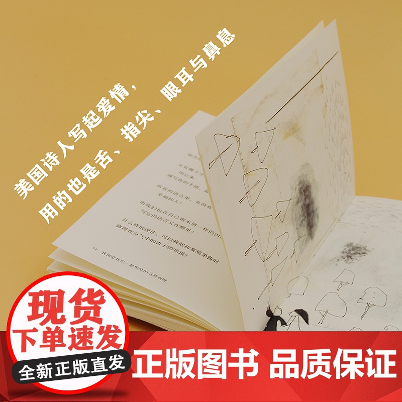 我深爱我们一起相处的这些夜晚:美国当代诗选(艺文志·诗)唐小兵编译美国当代诗歌上海文艺出版社 外国文学欧美诗歌集高清大图