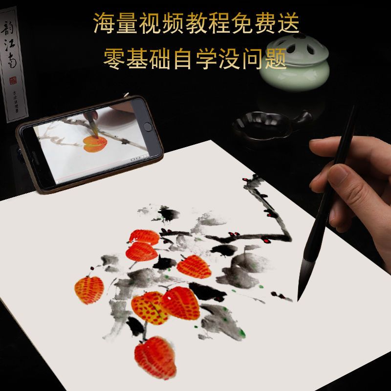 国画套装全套用品工具初学者套装中国画水墨画工笔画颜料