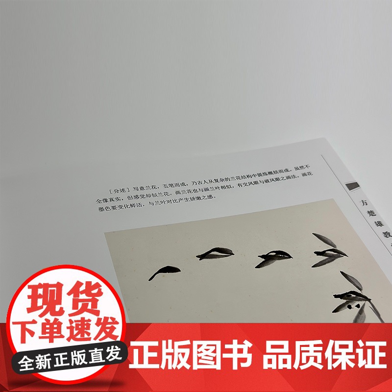方楚雄教学示范.兰 国画技法 步骤详解 教学示范视频 国画好书 岭南美术出版社高清大图