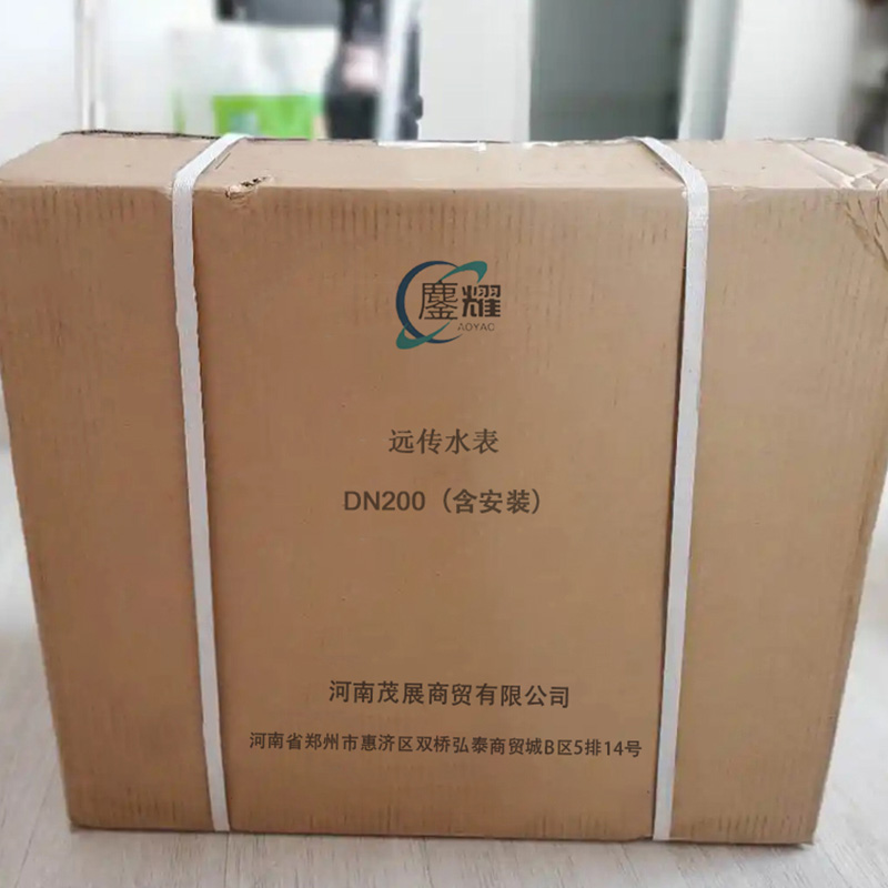 鏖耀 远传水表 DN200(含安装) 个高清大图