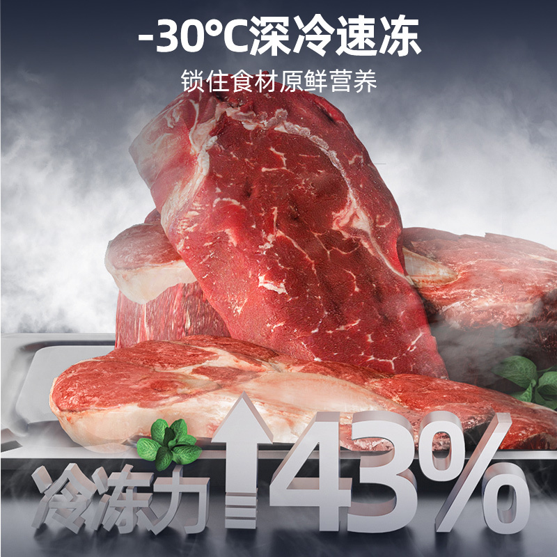 星星(XINGX)家用商用大容量风冷无霜一级能效节能冰柜单温冷藏冷冻转换柜超市便利店雪糕柜BD/BC-170WKE