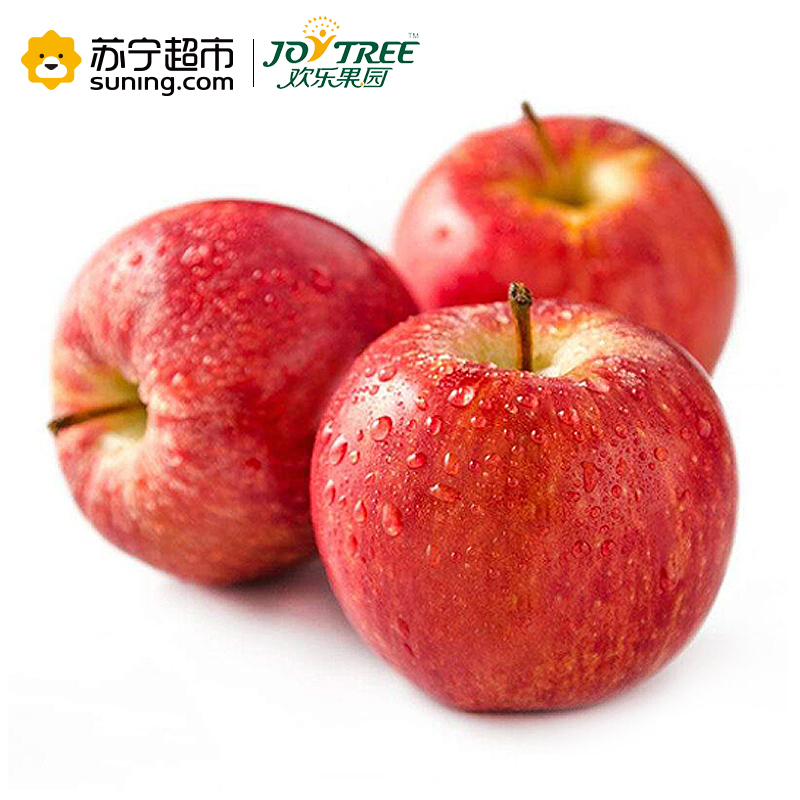 欢乐果园 智利进口加力果 4个装 单果重约130-170g