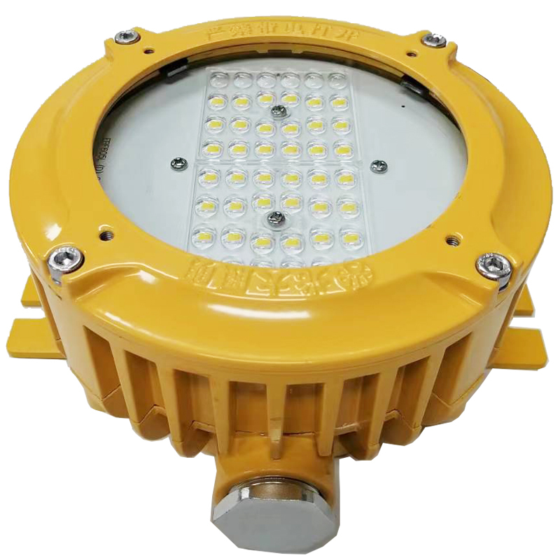 光大 EBF605L(D) LED AC220V 24W IP66 WF2 5700K ExdIICT6 抗震防爆平台灯