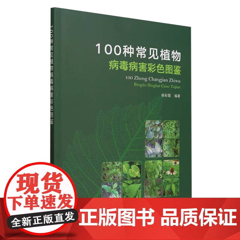 100种常见植物病毒病害彩色图鉴 9787109328549 杨彩霞 编 中国农业出版社高清大图