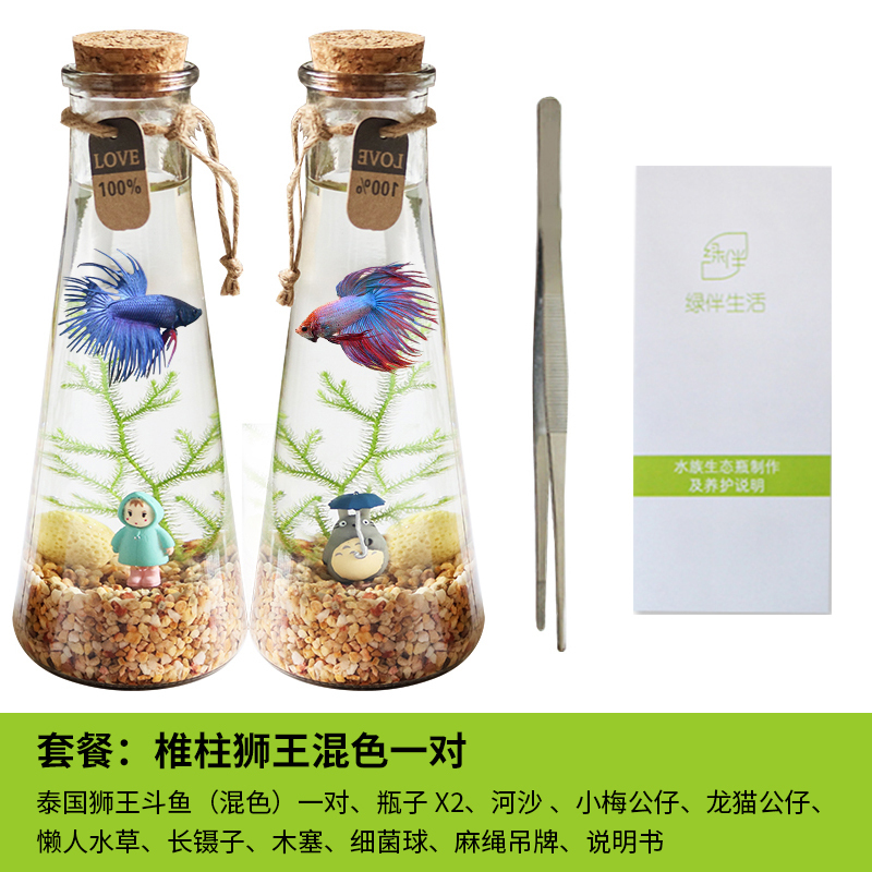 斗鱼生态瓶封闭小鱼瓶免换水瓶装观赏鱼玻璃桌面透明微景观鱼小型
