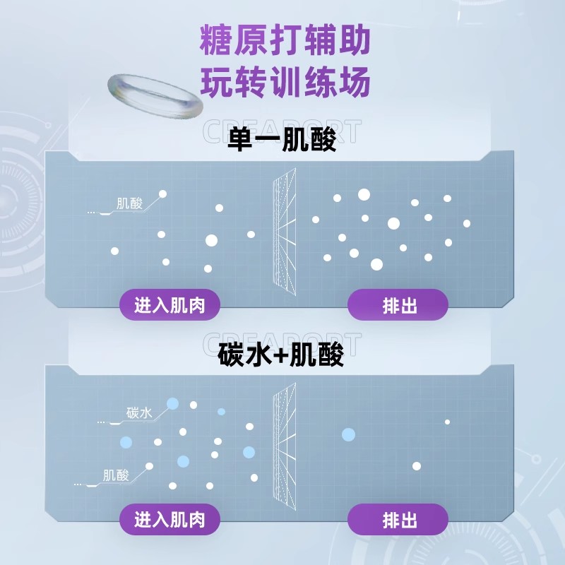 诺特兰德载体肌酸一水肌酸肌酸补剂纯肌酸粉体育生增加力量耐力爆发力锌镁片官方正品旗舰店高清大图