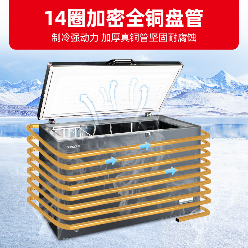 星星(XINGX)200升零下60℃超低温深冷柜商用冰柜卧式全冷藏全冷冻生鲜柜电子温控保鲜柜 DW-60W200DS高清大图