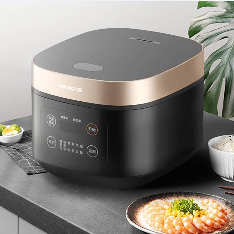 精钢厚金电饭煲九阳F40FZ-F531(B)高清大图