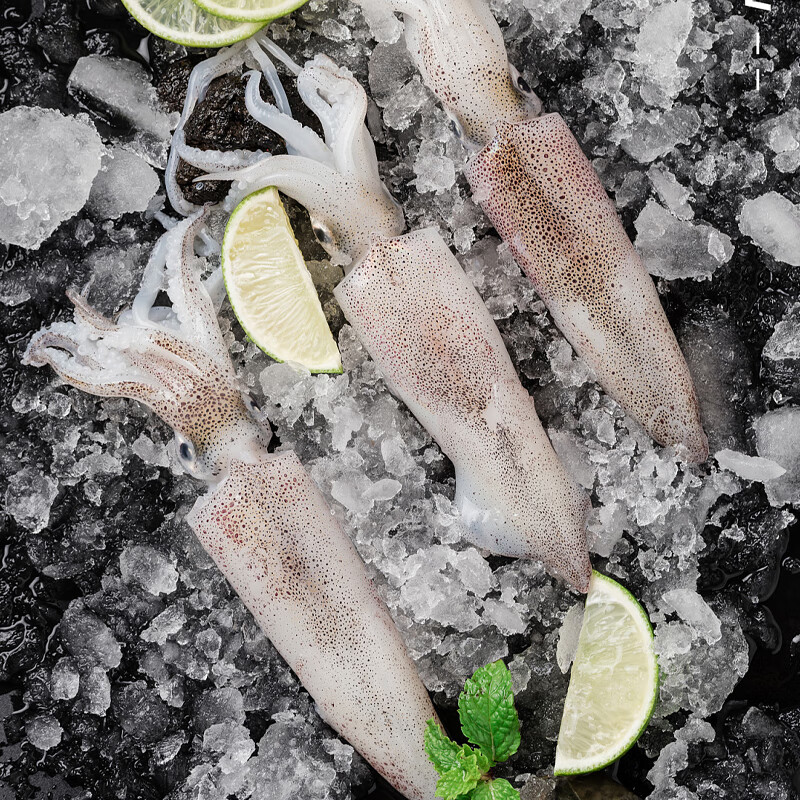 暖心驿站 海颂福海鲜年货送礼礼盒 D款4370g高清大图