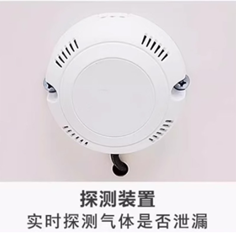 伟樽气瓶柜白色单瓶一代报警器500*450*1900mm台高清大图