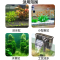 8W除油膜/超静音/流量可调 适合50cm以内鱼缸 鱼缸过滤器小型三合一外置壁挂式过滤设备净水循环潜水泵外挂静音