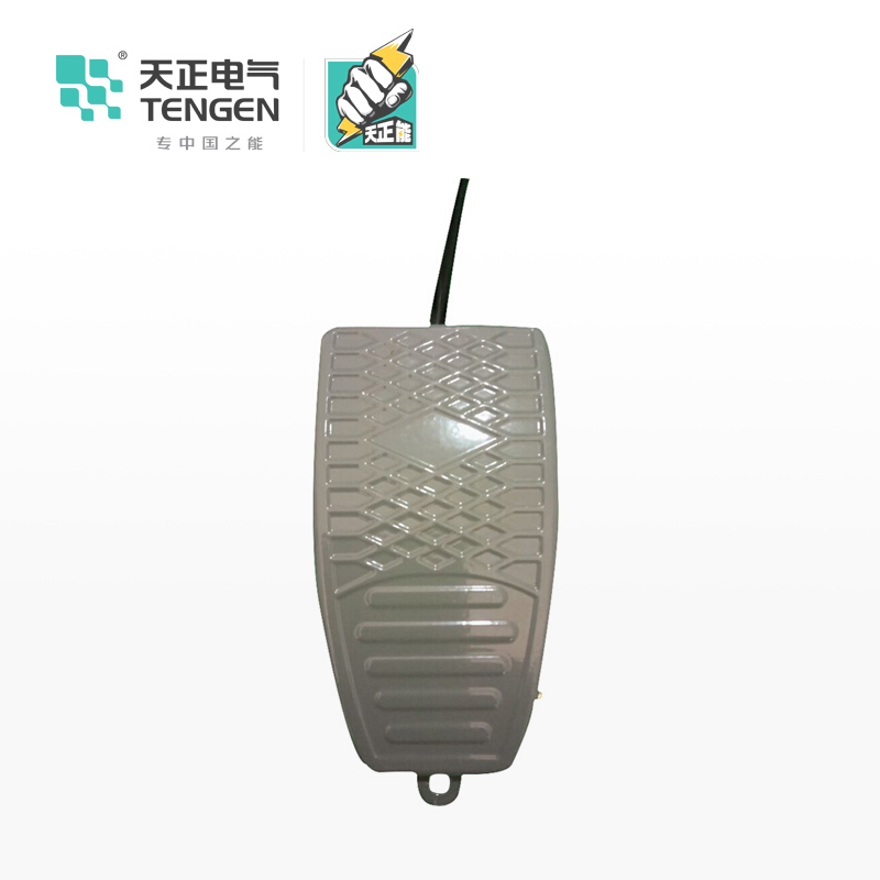 天正电气 EKW 单踏板 1NO+1NC 灰色 不带触发装置 08070020001 脚踏开关