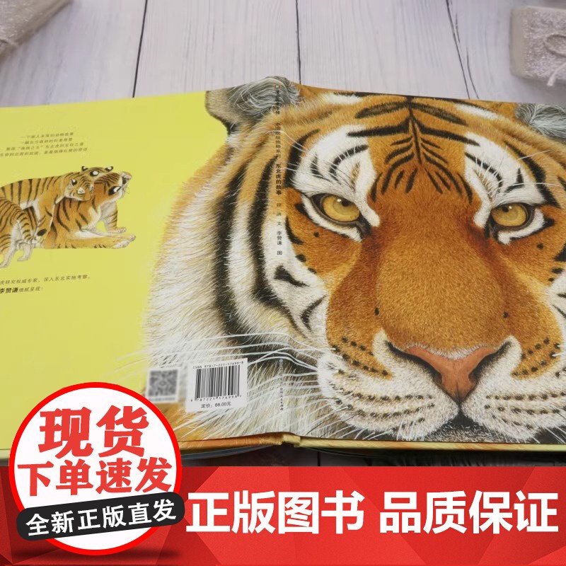 中国物种系列东北虎的故事大气磅礴的画面呈现出森林之王的威震撼人心的纸上动物记录片儿童知识科普绘本蒲公英正版高清大图