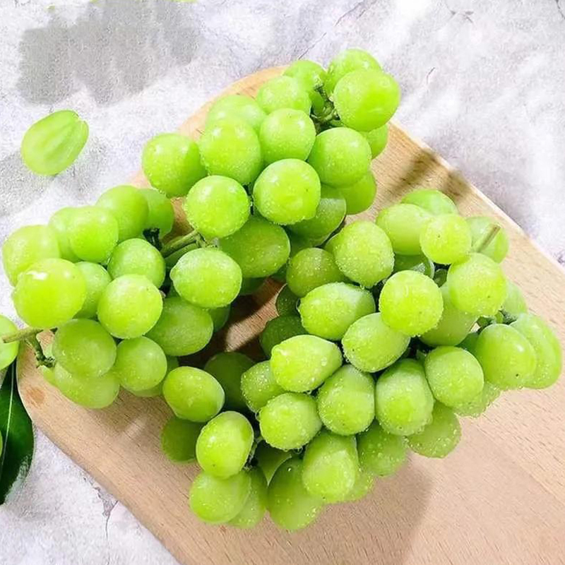 [苏鲜生]顺风/jd随机 山西阳光玫瑰葡萄 净重3斤 葡萄 青提子 应当季