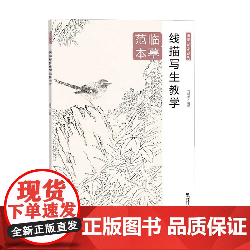 线描写生教学临摹范本 刘明孝 著 大中专教材教辅