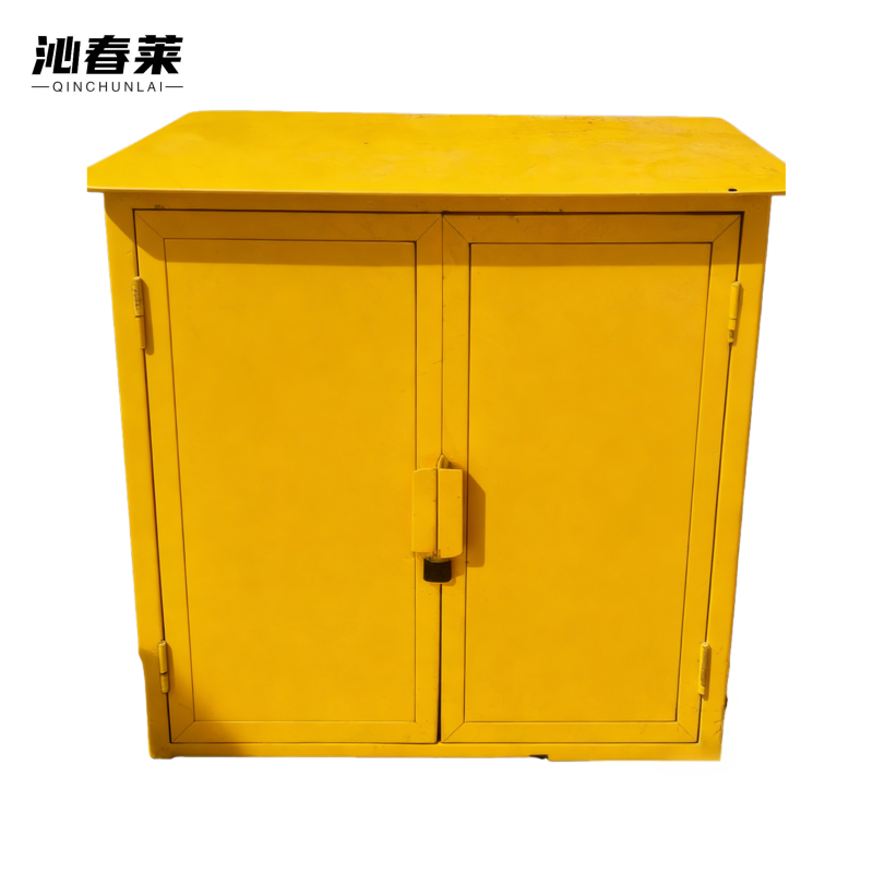 沁春莱 置物柜 1000*600*990mm 个