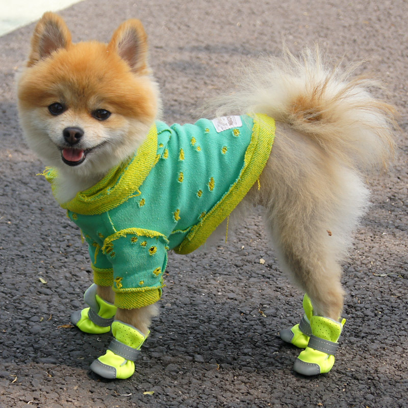 狗狗鞋子泰迪鞋子比熊防滑防水鞋套宠物狗鞋博美小狗春秋透气鞋子