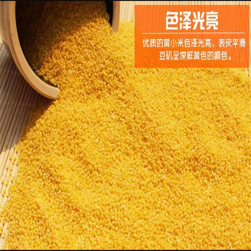 鲁强石磨源 石碾小米 1kg 酥田袋装