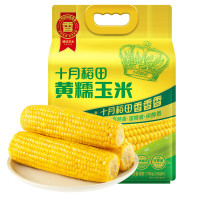 十月稻田黄糯玉米1.76kg软糯