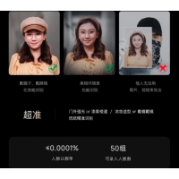 凯迪仕(Kaaas)指纹锁可视猫眼监控摄像智能门锁 人脸识别智能锁 Q20F Pro
