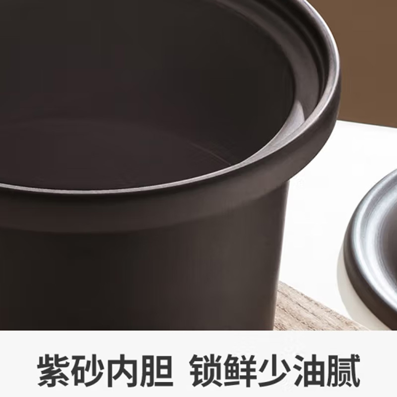 九阳(Joyoung) 电炖锅 GD405高清大图