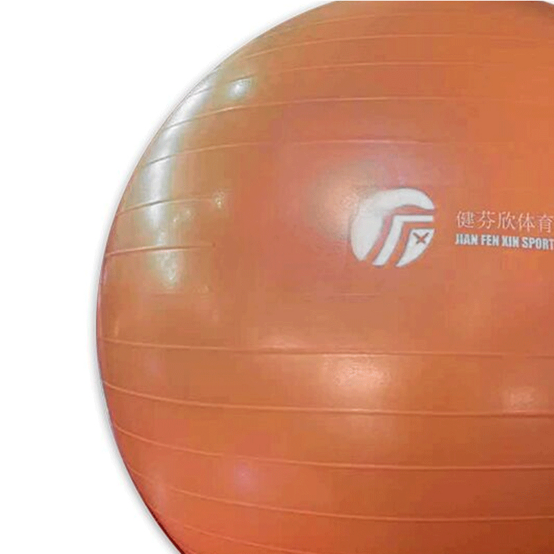 健芬欣健身瑜伽球高清大图