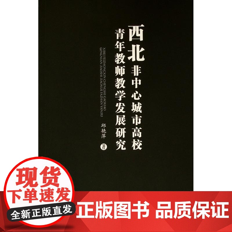 西北非中心城市高校青年教师教学发展研究(L)高清大图