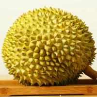[西沛生鲜]顺丰快递 液氮泰国金枕榴莲 进口榴莲 1-2个装 6-7斤 软糯香甜 新鲜水果 西沛
