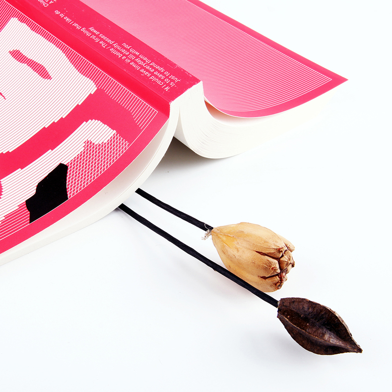 [正版]《断代》郭强生著作,以推理小说的手法展开,由三条看似关联薄弱的叙事线入手。高清大图