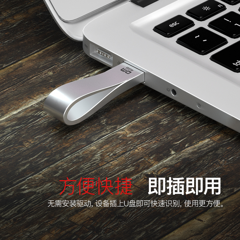 DM 4GB USB2.0 U盘 PD136标签系列 银色 招标投标小容量u盘 电脑车载优盘10个/盒