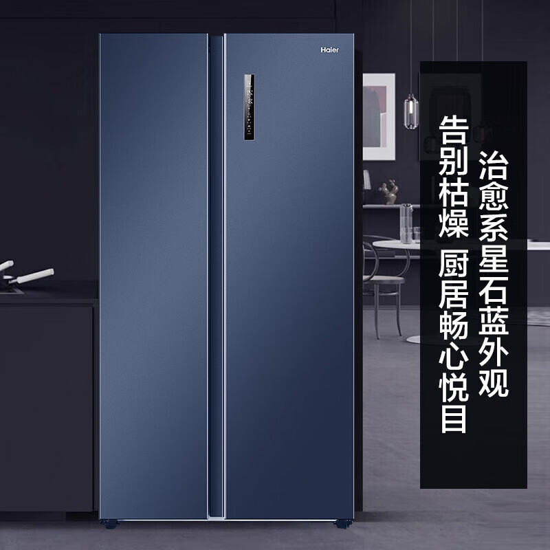 海尔(Haier)冰箱 对开门一级能效双变频全空间冷无霜节能电冰箱 601升星石蓝海尔冰箱 BCD-601WGHSS19