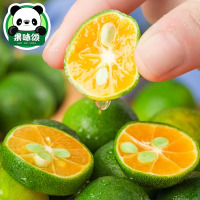 小金桔新鲜水果当应季青金桔柠檬奶茶店榨汁调味 250g/份
