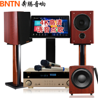 奔腾(BNTN)蓝牙功放2.1套装家庭影院KTV音响家用客厅电视音箱K歌卡拉OK组合音箱 2TB智能语音点歌机套装