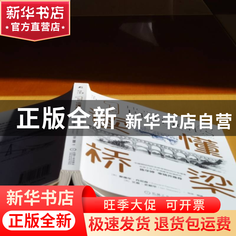正版 1小时读懂桥梁 [英]爱德华·丹尼森,[英]艾恩·史都华 机械工高清大图
