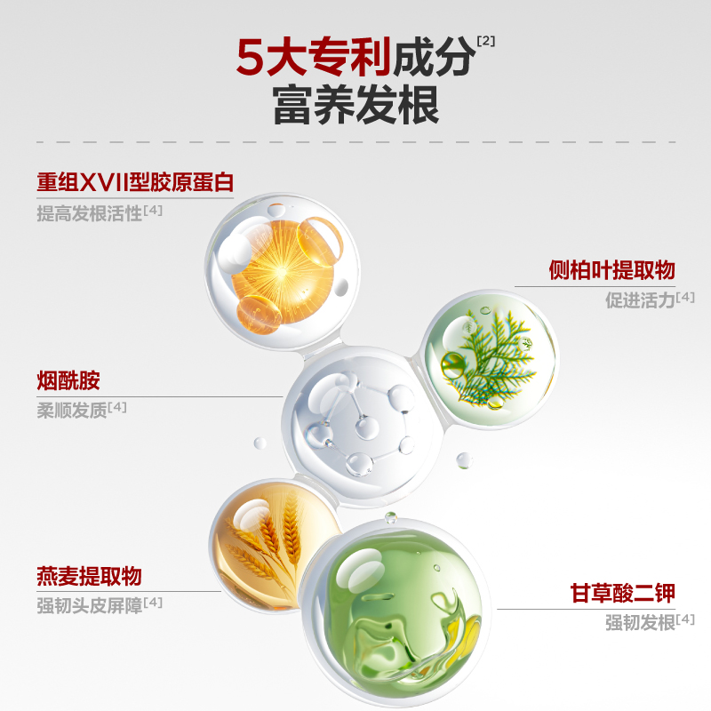 小箭头ABOUT FOCUS固发防脱洗发水绿影柑橘(400ml)-线上高清大图