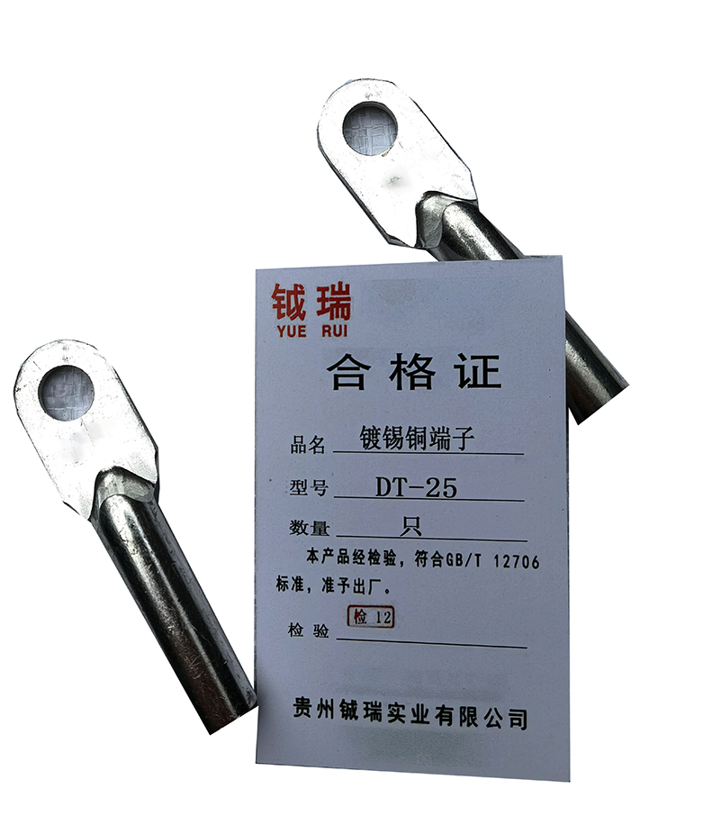 钺瑞镀锡铜端子DT-25/只高清大图