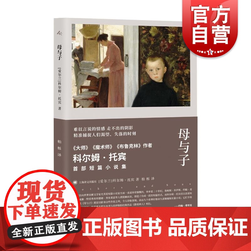 母与子 科尔姆托宾作品爱尔兰科尔姆托宾上海译文出版社群岛图书情感科尔姆托宾家庭外国文学爱尔兰文学高清大图