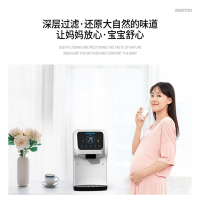 威世顿VISERTON 饮水机 家用净水机台式直饮机净水器免安装 RO反渗透除菌 净饮一体机
