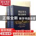 刑法罪名规范解析（全2册）
