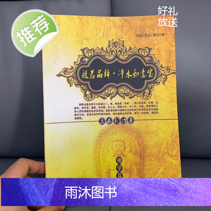 《般若品释·净水如意宝》般若(6)益西彭措堪布著 高清16大开本高清大图