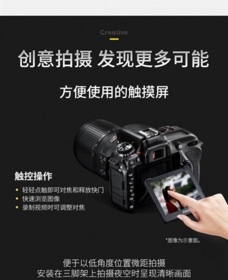 [牙科推荐]尼康D7500+105mm f/2.8G微距+永诺YN14EX环闪光灯套装 牙科昆虫植物近距产品细节镜头高清大图