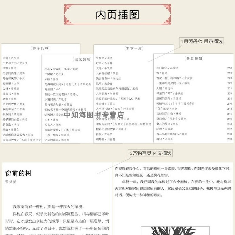大家小文1[4本套装] 高中通用 [正版]新版疯狂阅读大家小文全套4本月照寸心/思想芦苇/万物有灵/遗世独立经典散文素材高清大图